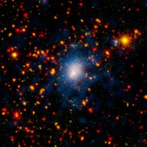 Galaxy cluster ssc2007-13a1