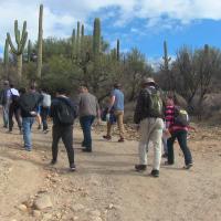 Hiking - Catalina State Park