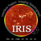 3.5  IRIS logo