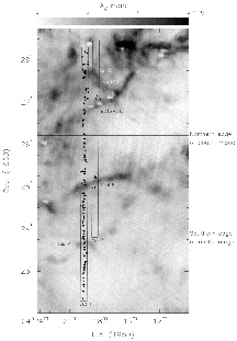 Dust in the Dense ISM 