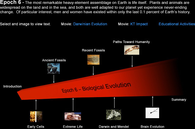Cosmic Evolution - Epoch 6 - Biological
