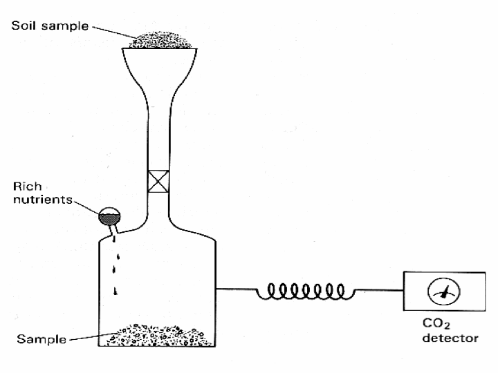 FIGURE 8.18