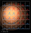 Numerical Simulations