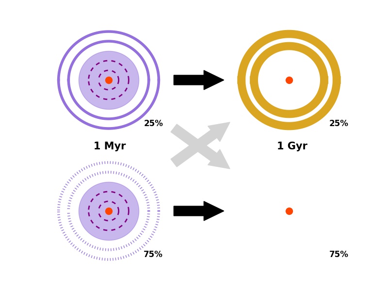 Debris Disk Schematic
